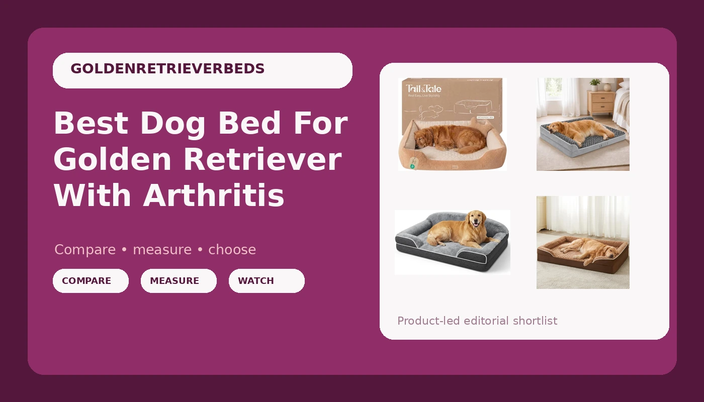 Best Dog Bed For Golden Retriever With Arthritis - GoldenRetrieverBeds review with measurements and honest opinion