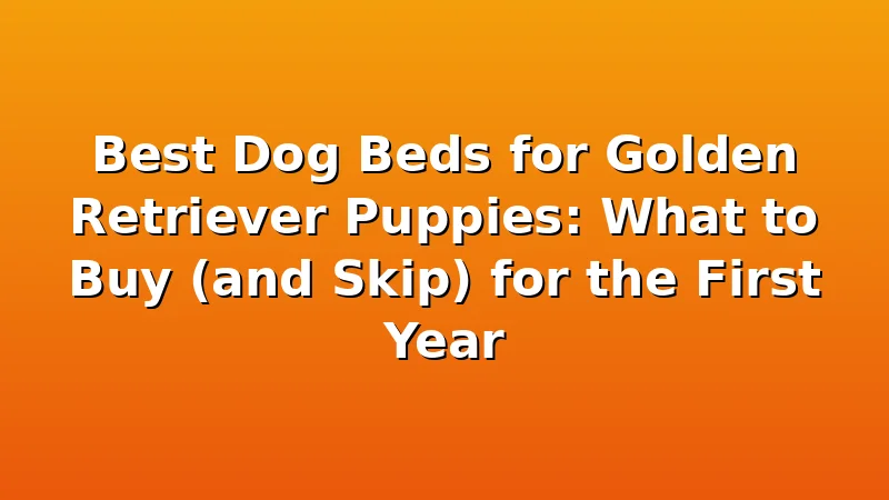 Best Dog Beds for Golden Retriever Puppies: What to Buy (and Skip) for the First Year - GoldenRetrieverBeds review with measurements and honest opinion