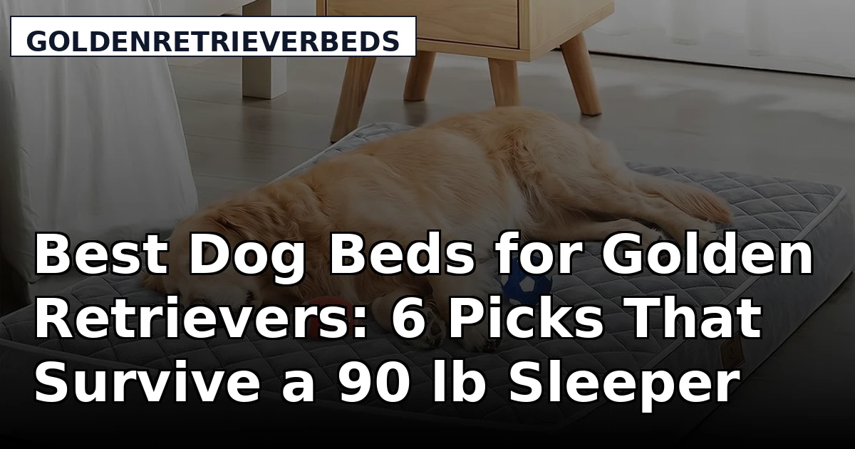 Best Dog Beds for Golden Retrievers: 6 Picks That Survive a 90 lb Sleeper