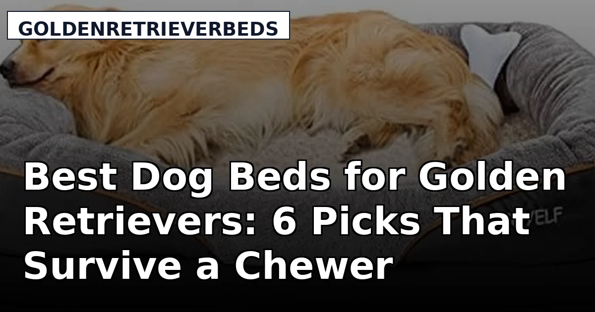 Best Dog Beds for Golden Retrievers: 6 Picks That Survive a Chewer