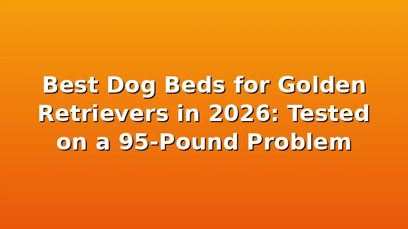 Best Dog Beds for Golden Retrievers in 2026: Tested on a 95-Pound Problem - GoldenRetrieverBeds review with measurements and honest opinion
