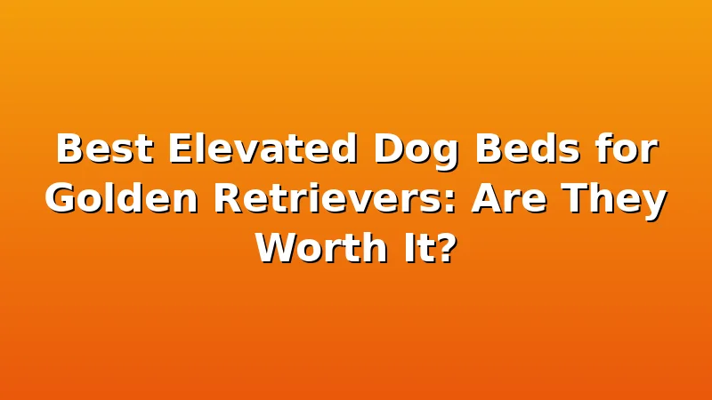 Best Elevated Dog Beds for Golden Retrievers: Are They Worth It? - GoldenRetrieverBeds review with measurements and honest opinion