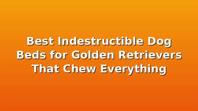 Best Indestructible Dog Beds for Golden Retrievers That Chew Everything - GoldenRetrieverBeds review with measurements and honest opinion