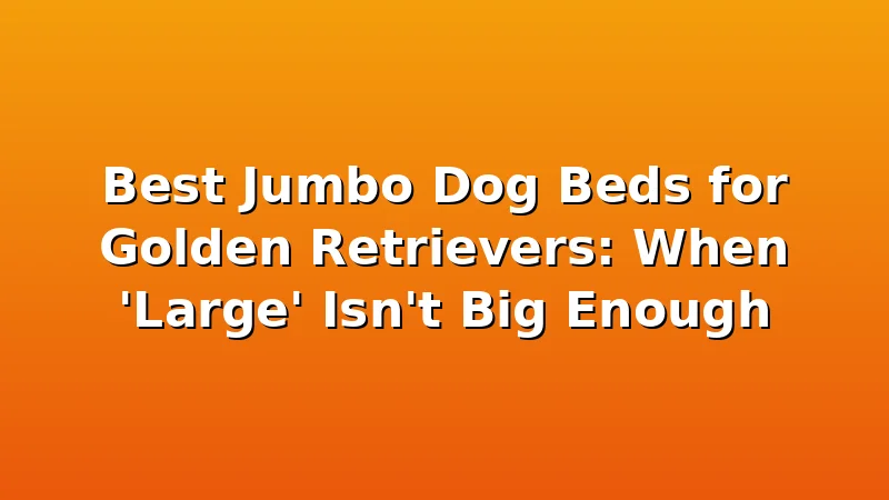 Best Jumbo Dog Beds for Golden Retrievers: When 'Large' Isn't Big Enough - GoldenRetrieverBeds review with measurements and honest opinion