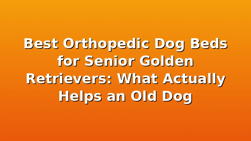 Best Orthopedic Dog Beds for Senior Golden Retrievers: What Actually Helps an Old Dog - GoldenRetrieverBeds review with measurements and honest opinion