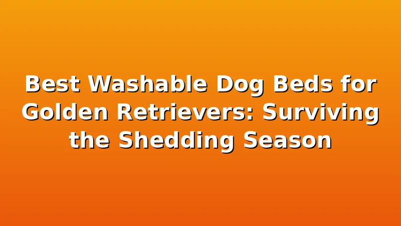 Best Washable Dog Beds for Golden Retrievers: Surviving the Shedding Season - GoldenRetrieverBeds review with measurements and honest opinion