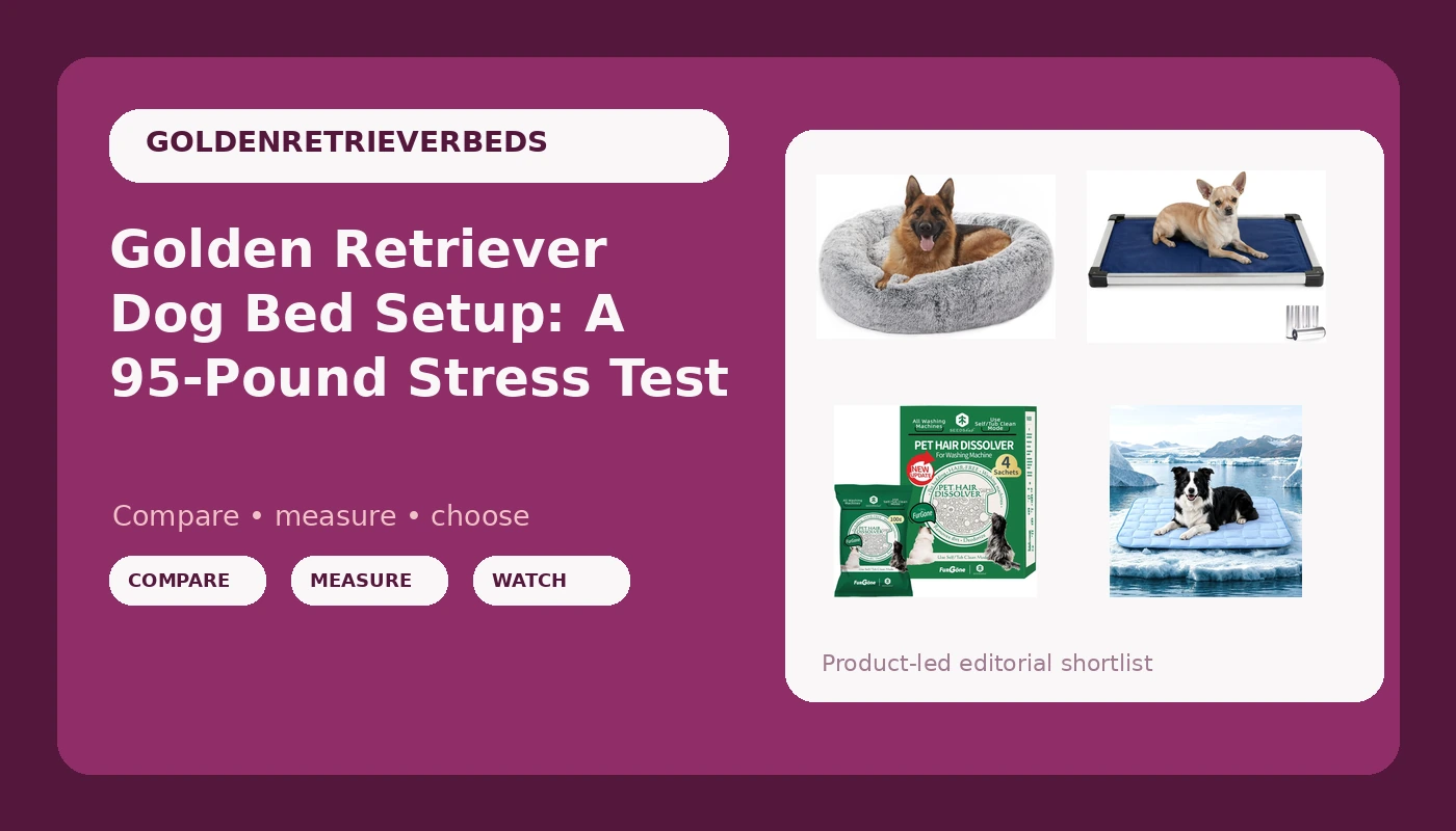Golden Retriever Dog Bed Setup: A 95-Pound Stress Test