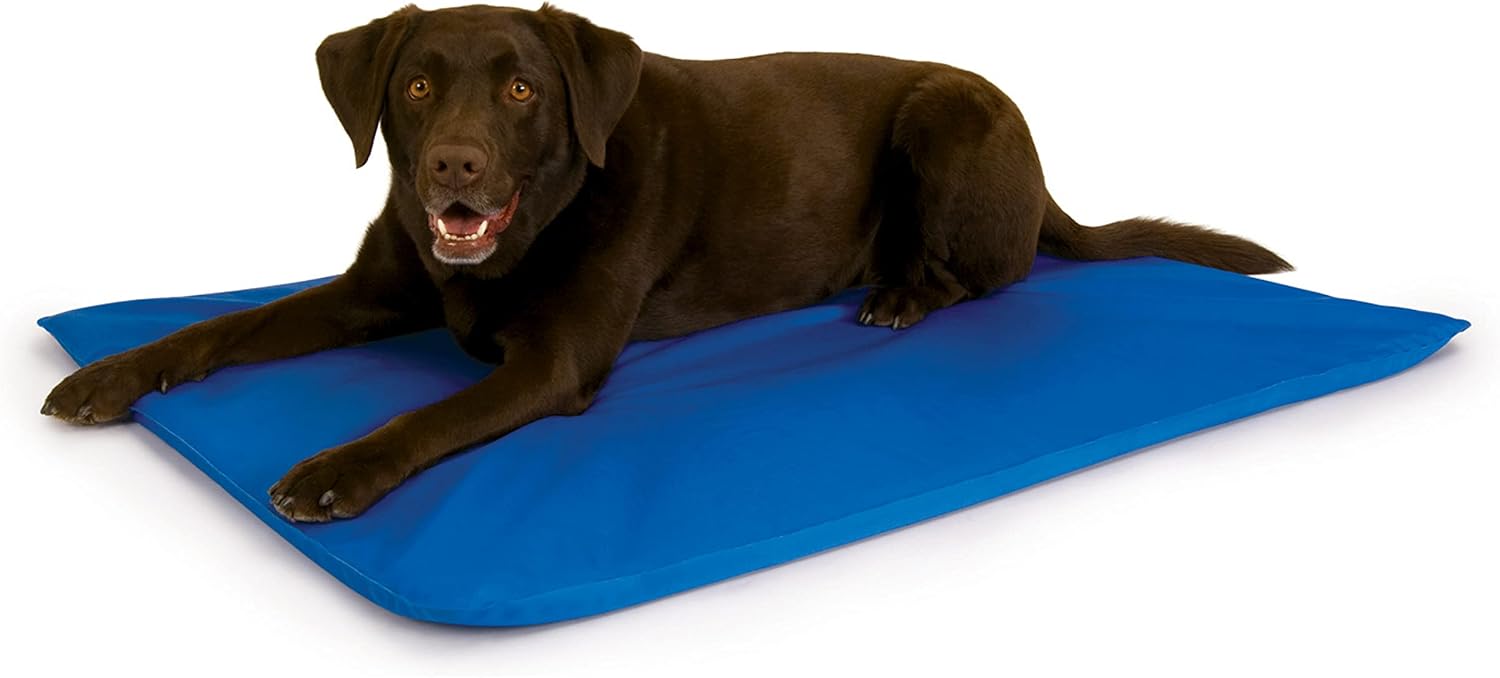 Coolaroo Elevated Pet Bed (B003KK60R4)