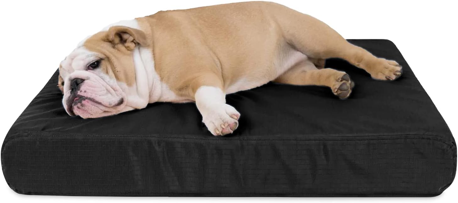 Best Overall: K9 Ballistics Tough Chew Dog Bed (B0BKB1L667)