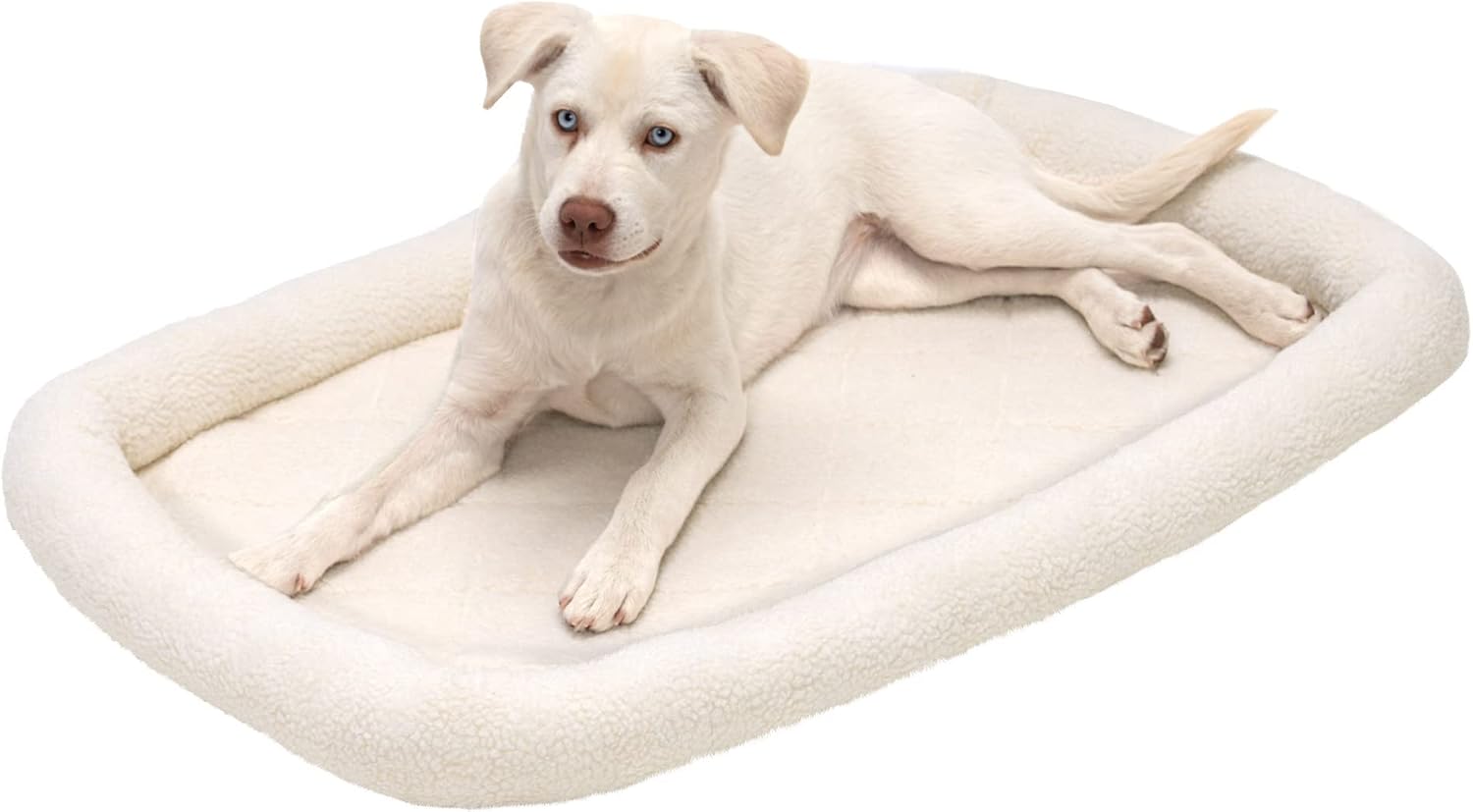 Should you buy the Furhaven Plush Suede?