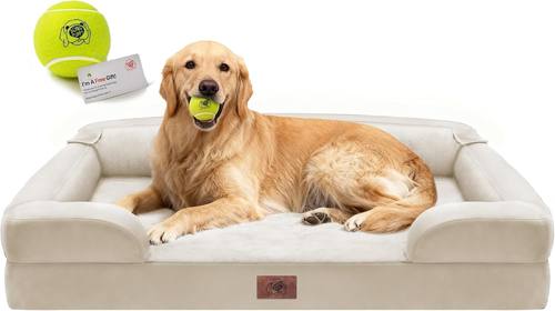 Waterproof Orthopedic Bed