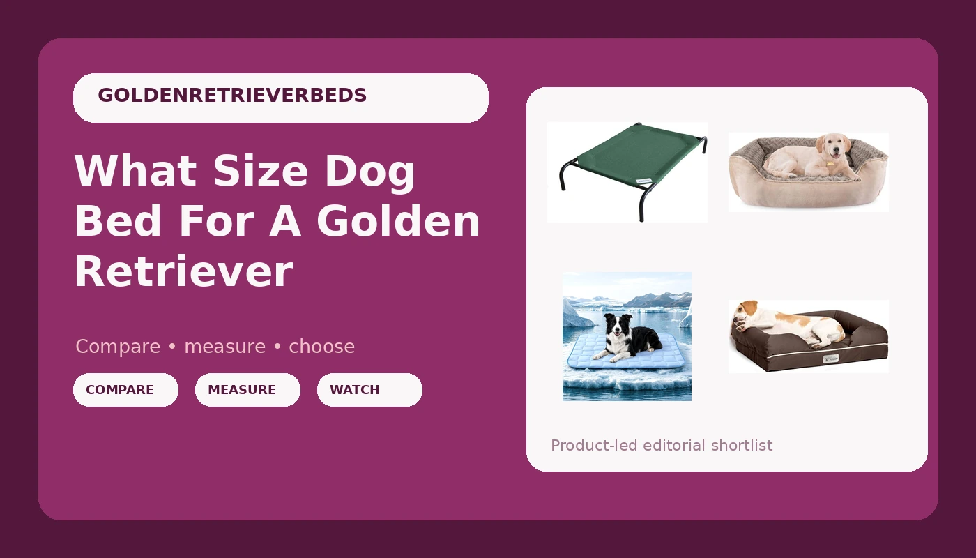 What Size Dog Bed For A Golden Retriever - GoldenRetrieverBeds review with measurements and honest opinion